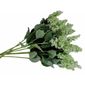 MV27708330_Kit-Flores-artificiais-10-Lavandas-Brancas_1_Zoom