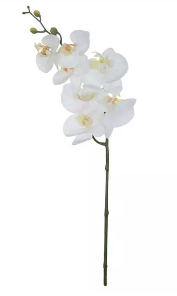 Orquidea branca em promoção | Carrefour
