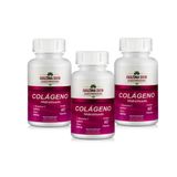 Kit Colágeno Com vitaminas 180 capsulas de 500 mg