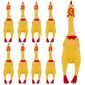 MV20975872_Kit-Com-5-Frango-Galinha-Brinquedo-Pet-Cachorro---16-x-45cm_2_Zoom