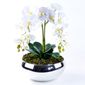 MP28141153_Arranjo-com-4-Orquideas-Brancas-Toque-Real-Vibrante_2_Zoom