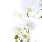 MP28141153_Arranjo-com-4-Orquideas-Brancas-Toque-Real-Vibrante_3_Zoom