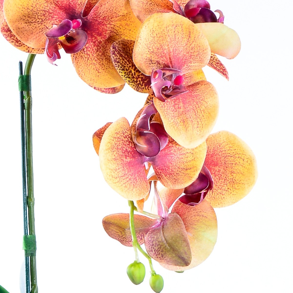 MP28127172_Arranjo-de-Orquidea-3D-Laranja-em-Tubo-de-Vidro_3_Zoom