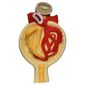 MP28070876_Rim-Nefrons-E-Glomerulos-Em-Prancha-Modelo-Anatomia_2_Zoom