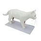 MP28012401_Anatomia-do-Gato-em-12-Partes_3_Zoom