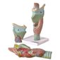 MP28011475_Laringe-Ampliada-Em-3-Partes-Modelo-Anatomia_1_Zoom