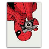 Placa Decorativa MDF Ambientes 30 cm x 20 cm - Homem Aranha Marvel Peter Parker(BD68)