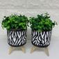 MP27465506_Vaso-tripe-com-estampa-zebra-e-planta_1_Zoom