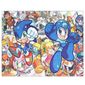 MP27458893_Quebra-Cabeca-Personalizado-90-Pecas---20-cm-x-30-cm-Sega-Sonic-Megaman-Capcom-BD61-_1_Zoom