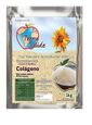 MP27094517_Colageno-Hidrolisado-Terra-Saude-90--Proteina-1kg_1_Zoom