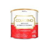 Colágeno Hidrolisado Peptídeos 17 Vitaminas e Minerais 250g