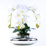 Arranjo com 4 Orquídeas Brancas Toque Real em Terrário Prata