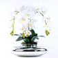 MP28141248_Arranjo-com-4-Orquideas-Brancas-Toque-Real-em-Terrario-Prata_1_Zoom