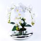 MP28141248_Arranjo-com-4-Orquideas-Brancas-Toque-Real-em-Terrario-Prata_2_Zoom