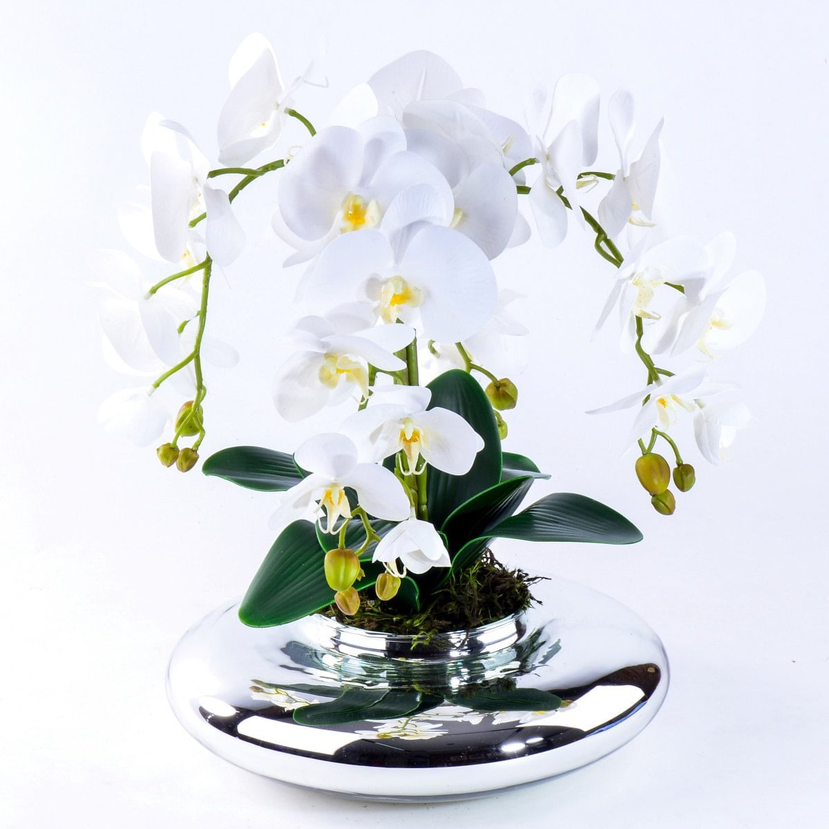 Arranjo com 4 Orquídeas Brancas Toque Real em Terrário Prata - Carrefour -  Carrefour