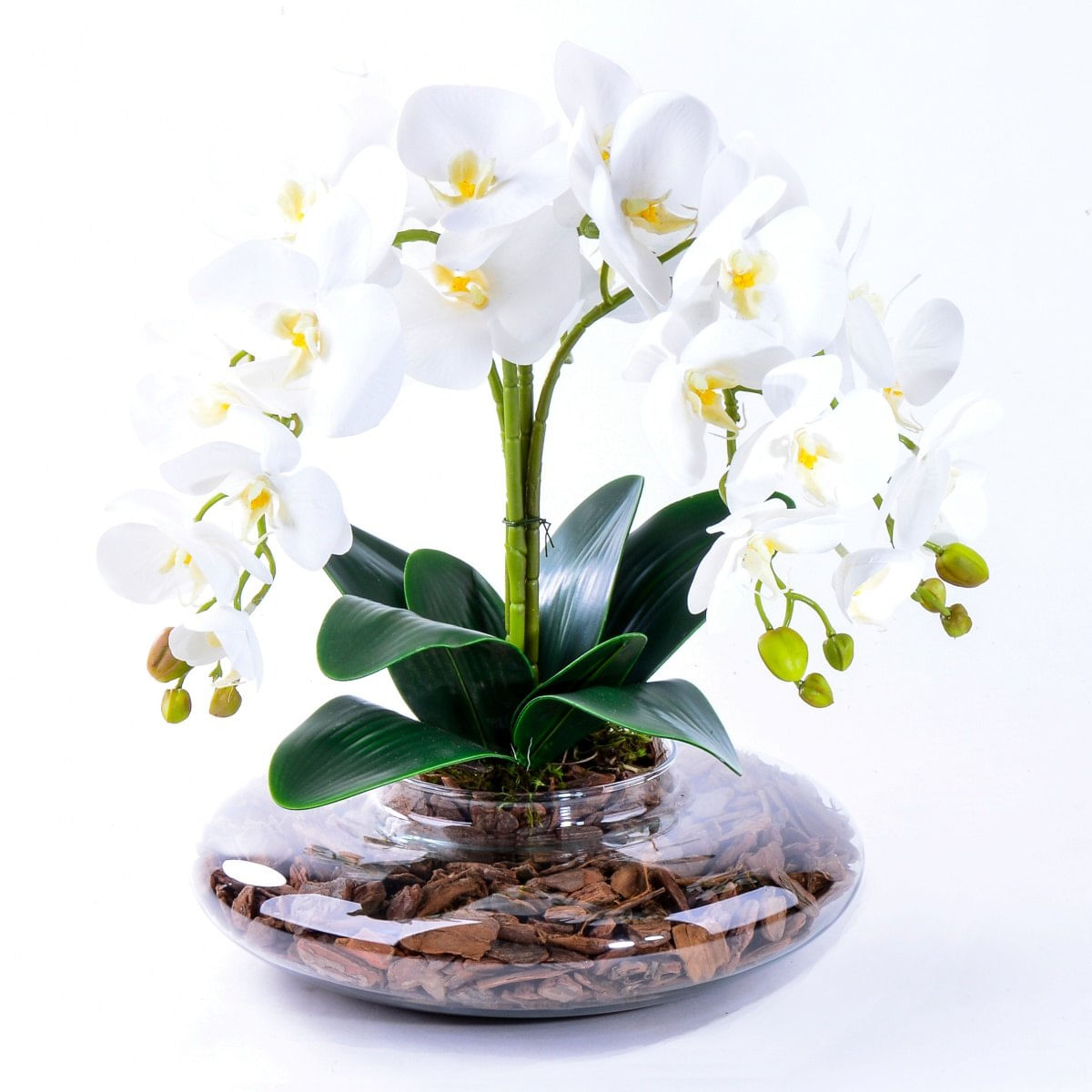 MP28096346_Arranjo-com-4-Orquideas-Brancas-Toque-Real-em-Terrario_2_Zoom