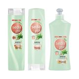 Kit Shampoo + Condicionador + Creme de Pentear com Babosa by Rayza