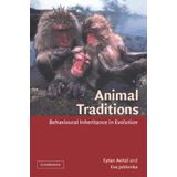 Animal Traditions