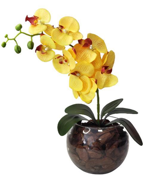 Arranjo De Flores Orquídea Artificial Toque Real Vaso Vidro - Carrefour
