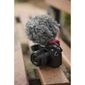 MP11306109_Microfone-Rode-VideoMicro-para-Cameras-DSLR_4_Zoom