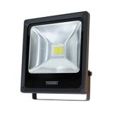 Refletor Led TR 30 30W Verde Preto Taschibra