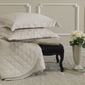 MP15822417_Jogo-de-Cama-Queen-300-fios-Karsten-Elegance-Gracia-Bege_1_Zoom