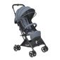 MP15630576_Carrinho-de-Bebe-It-Preto---Burigotto_1_Zoom