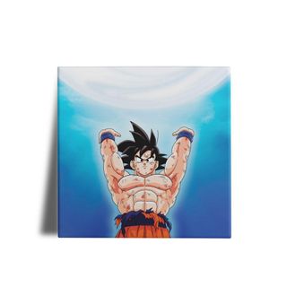 Quadro Dragon Ball Goku Anime Desenho Com Moldura G014 - Carrefour