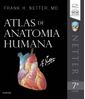 MP18234054_Atlas-De-Anatomia-Humana---Netter---07-Ed_1_Zoom