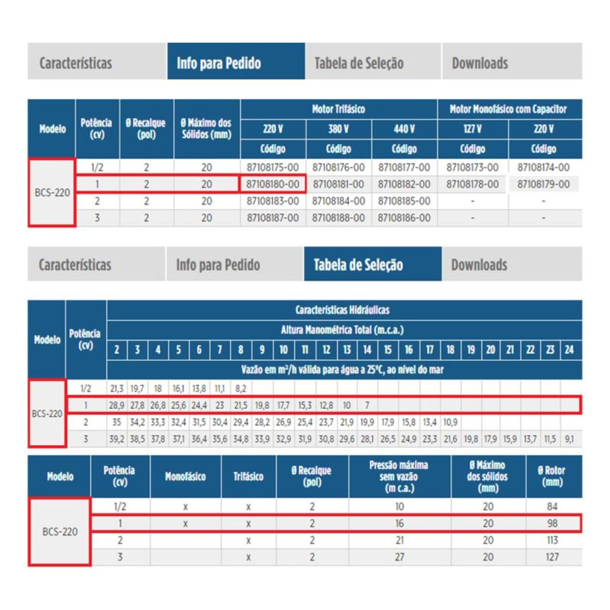 MP19744092_Bomba-Submersa-10-CV--BCS-220-para-Liquido-com-Solidos-220V-Trifasica-SCHNEIDER_4_Zoom