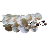 Orquídeas Artificias 3d Em Silicone 6 Hastes Branco