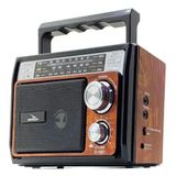 Rádio Am/fm/usb/sd Recarregável D-1601 - Grasep Bege