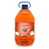Shampoo Limpeza Profunda Profissional Caes E Gatos Catdog 5l
