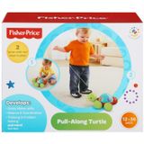 Brinquedo Infantil Empurra Tartaruga Fisher Price Y8652