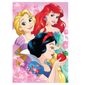 MP28189831_Quebra-Cabeca-Progressivo-Princesas-Disney---Toyster_4_Zoom