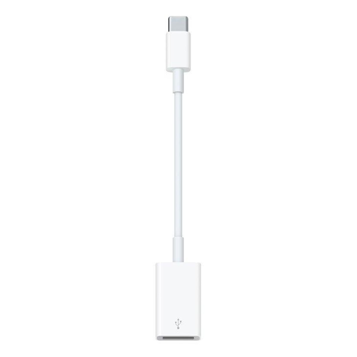 MV11967107_Adaptador-Apple-de-USB-C-para-USB---Branco_1_Zoom