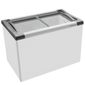 MV18630995_Freezer-Horizontal-NF40-Tampa-de-Vidro-para-Sorvetes-e-Congelados-388-Litros---Metalfrio_1_Zoom