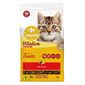 racao-para-gato-filhote-carrefour-companino-carne-1kg-1.jpg