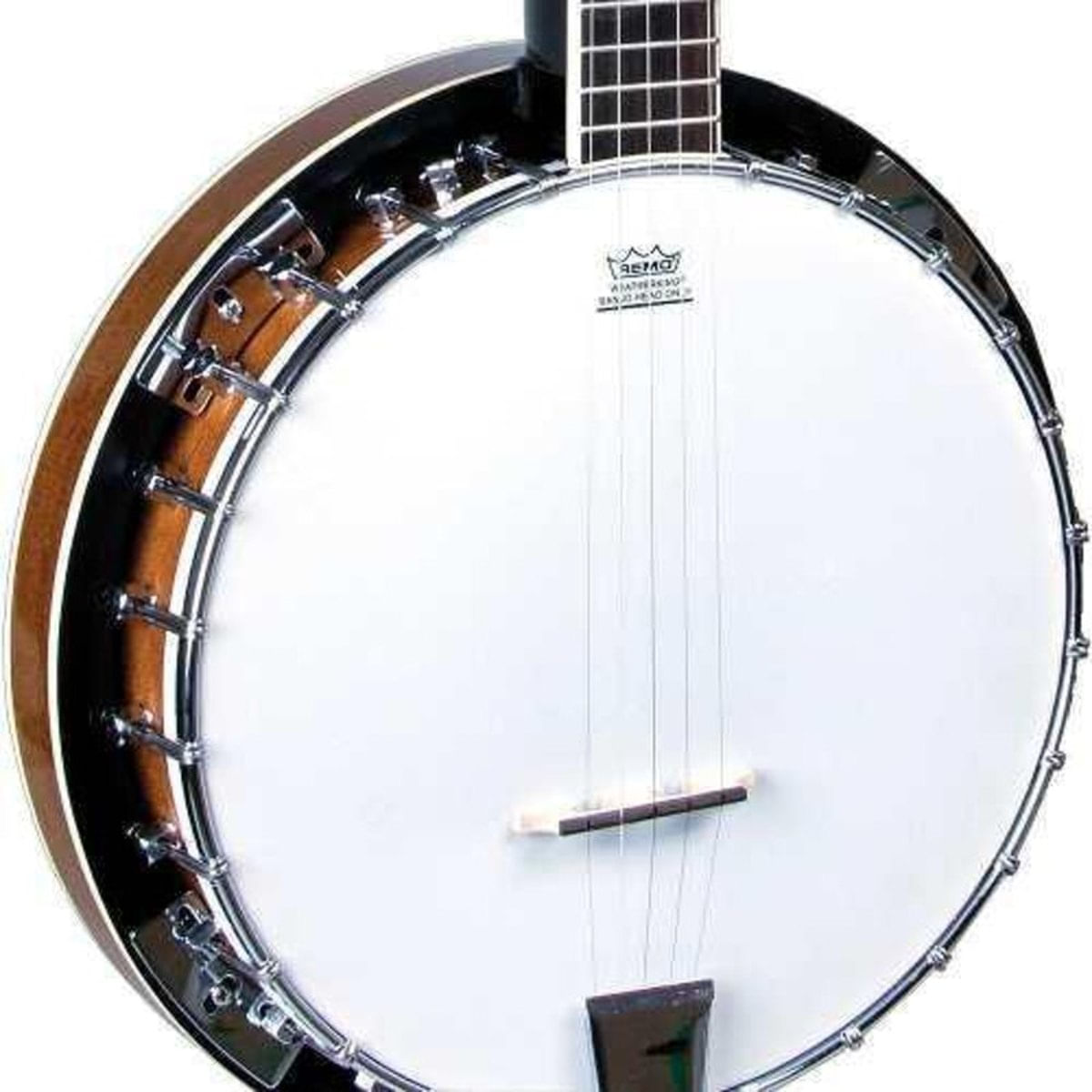 MV23330189_Banjo-Americano-5-Cordas-Strinberg-Wb50-Mahogany_5_Zoom