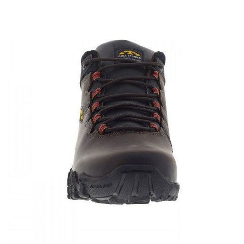 bota bull terrier sparks