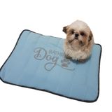 Kit 02 Tapetes Higiênicos P/ Cães Porte Pequeno Azul Tam 01