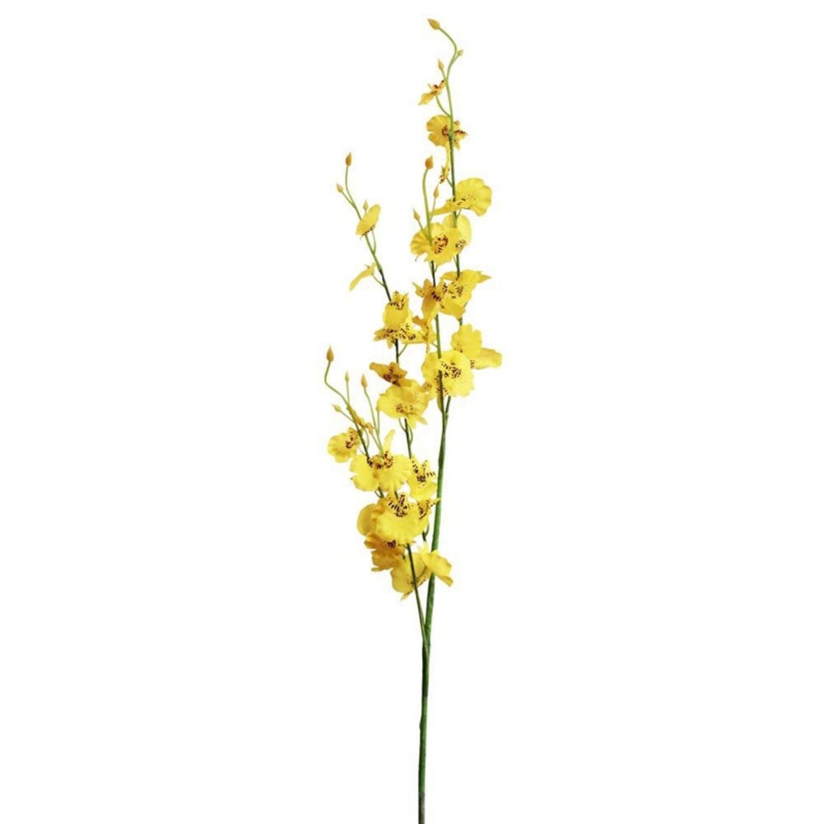 MV28412727_Orquideas-Chuva-De-Ouro-10-Galhos-Grandes-Artificial-Flores_3_Zoom