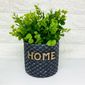 MP29164736_Cachepot-Home-medio-com-planta_1_Zoom