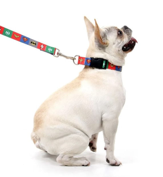 Coleira Liga Da Justiça  P