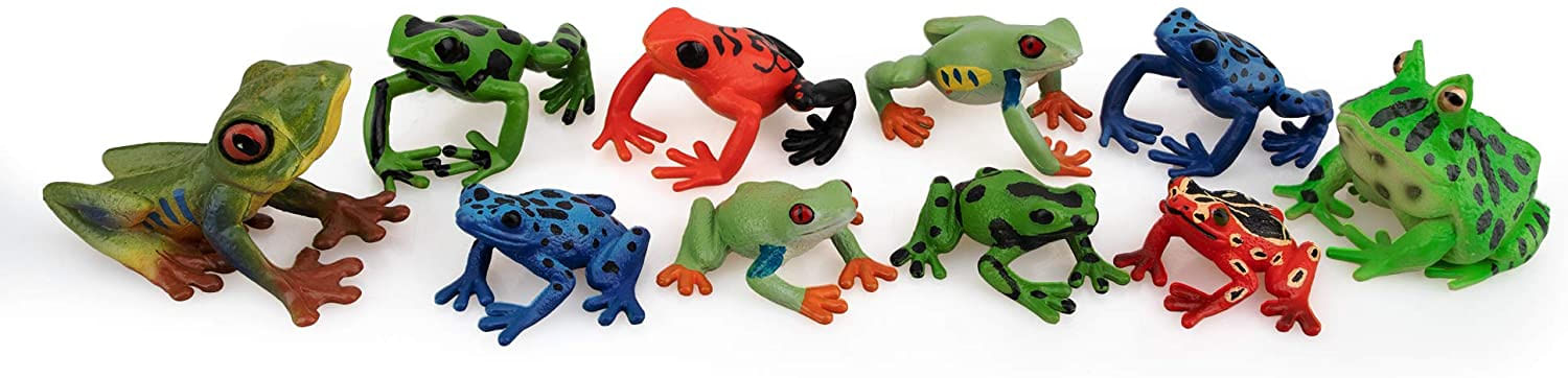 Toymany Frog Figures Forest Animal Figurines, 10PCS Plastic Rubber  Realistic Rainforest Woodland Animals Toy Set 