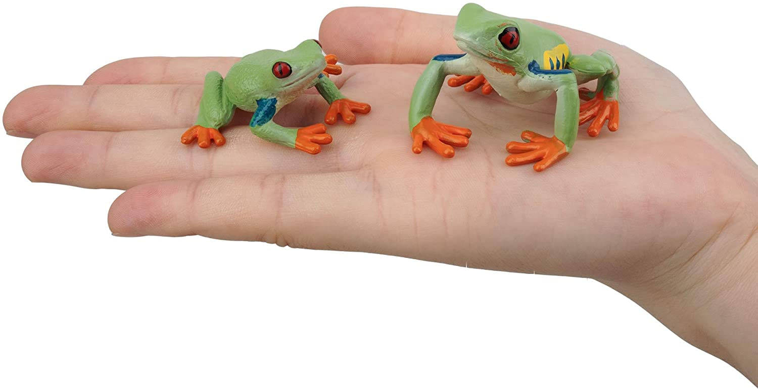 Toymany Frog Figures Forest Animal Figurines, 10PCS Plastic Rubber  Realistic Rainforest Woodland Animals Toy Set 