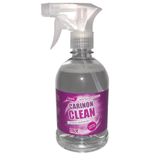 Limpador De Quadro Branco Especial Carinon Clean 500ml