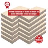 20 Tijolos Refráticos Plaqueta Churrasqueira 23x11,4x2,5cm