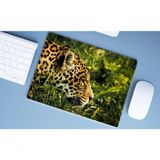 Mouse Pad Grande, Onça Pintado