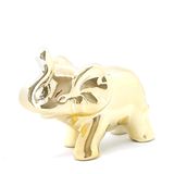 Elefante de Cerâmica G Dourado